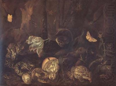 Still Life with Insects and Amphibians (mk14), SCHRIECK, Otto Marseus van